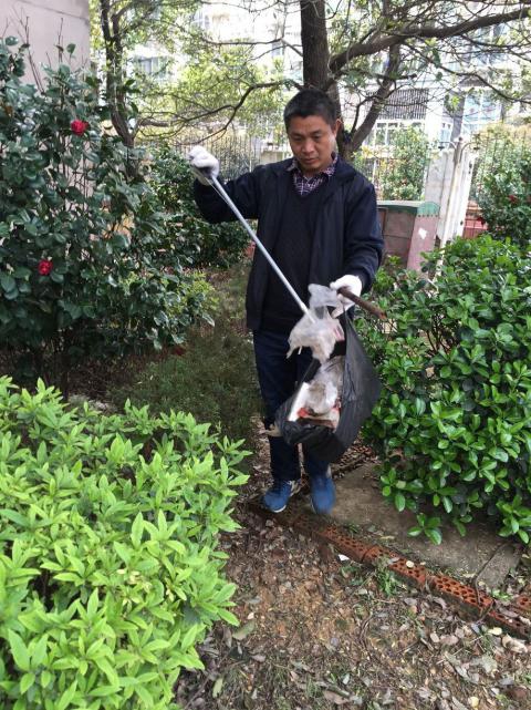 控制鼠害、預(yù)防疾病，構(gòu)建和諧文明社區(qū)